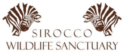 Sirocco